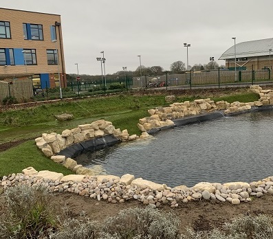 Longdean School Pond, before renovation